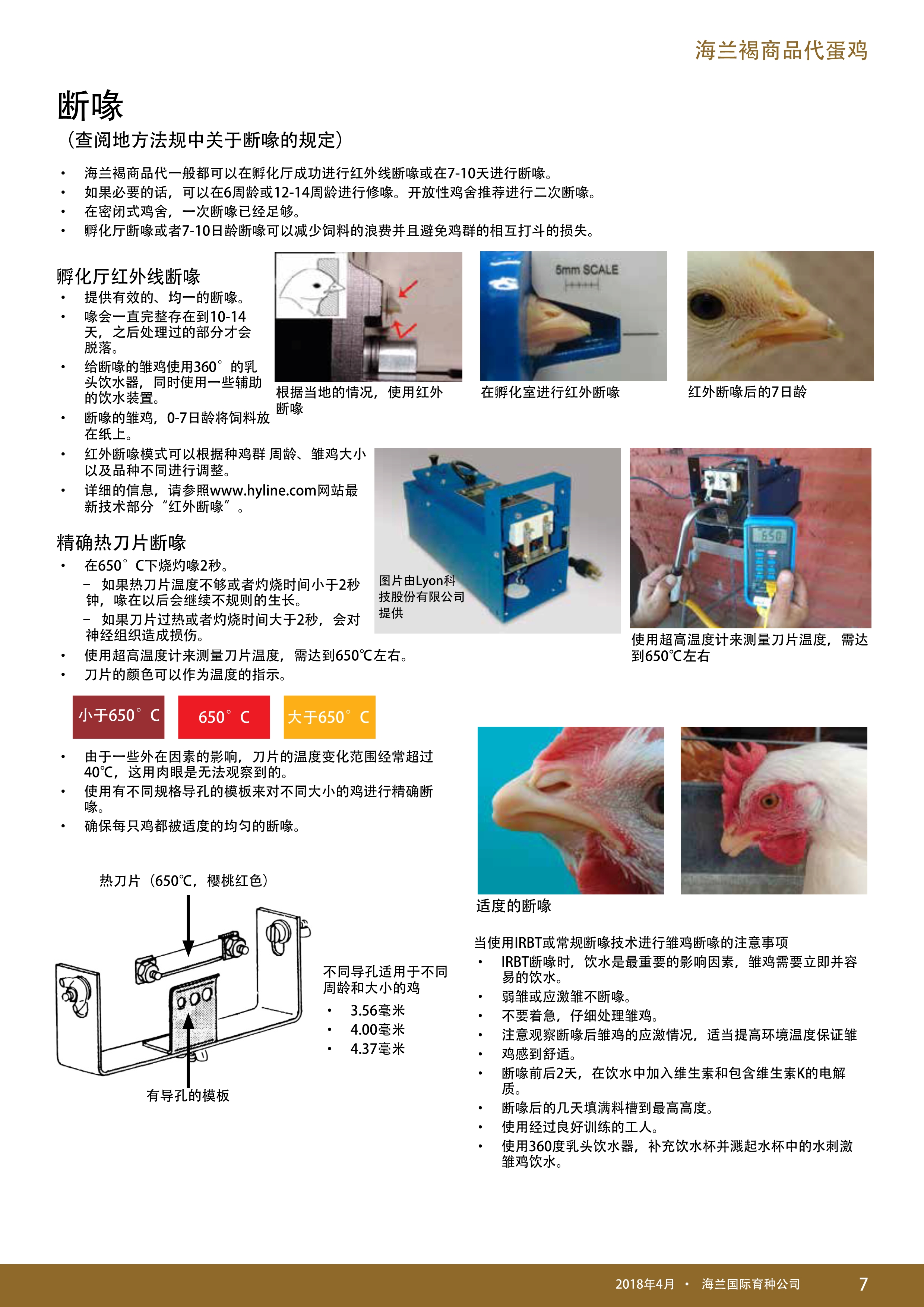 藏宝阁9100最新版