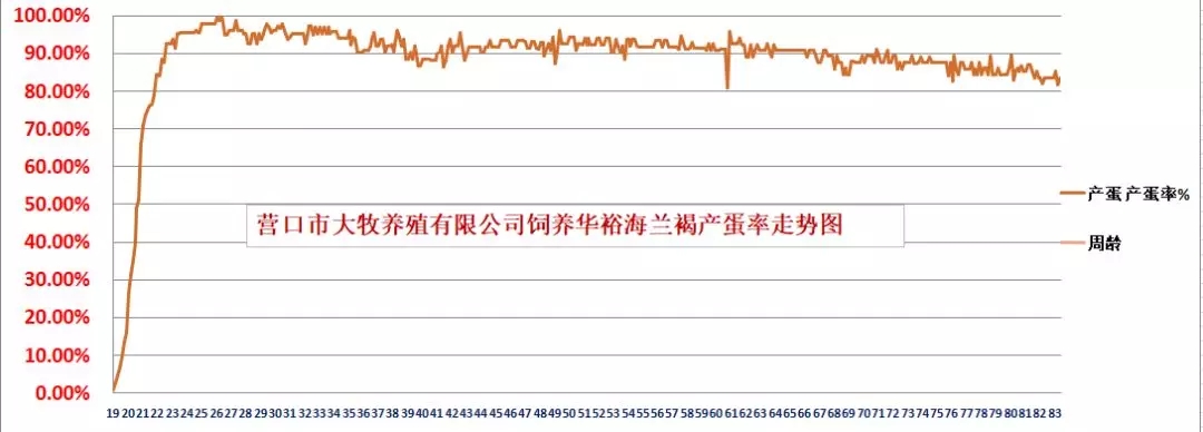 藏宝阁9100最新版