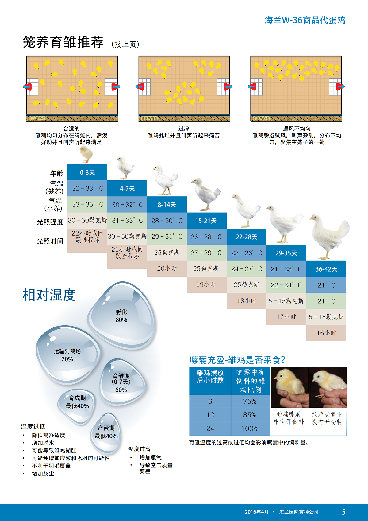 藏宝阁9100最新版