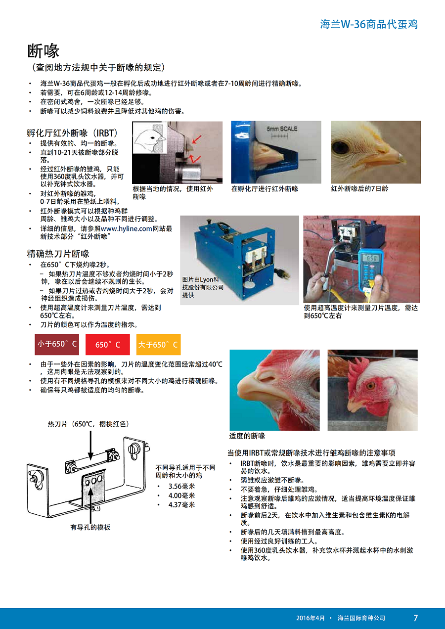 藏宝阁9100最新版