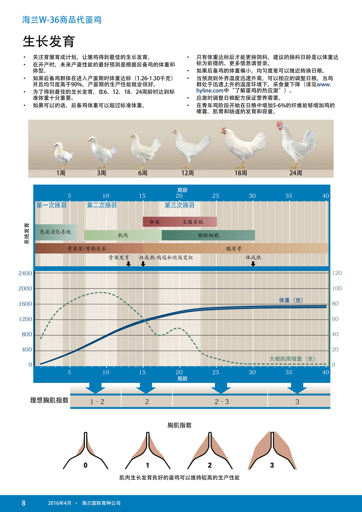 藏宝阁9100最新版