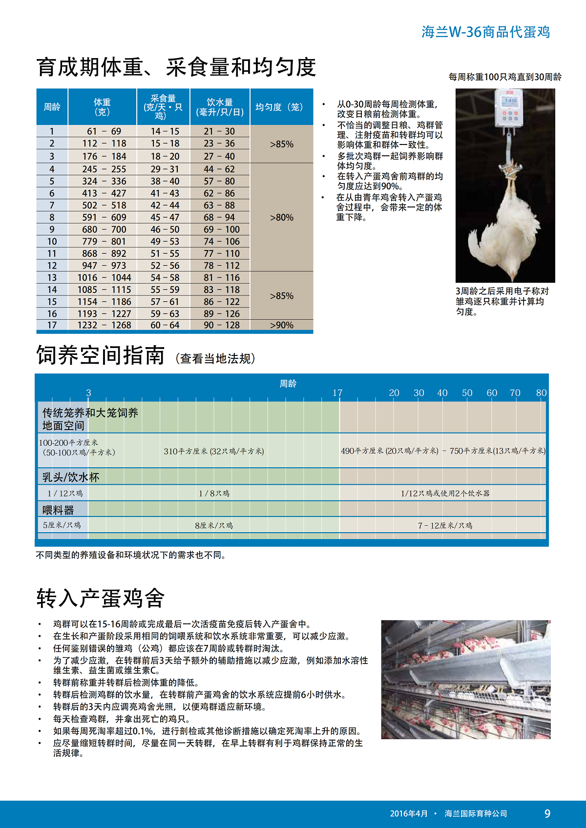 藏宝阁9100最新版