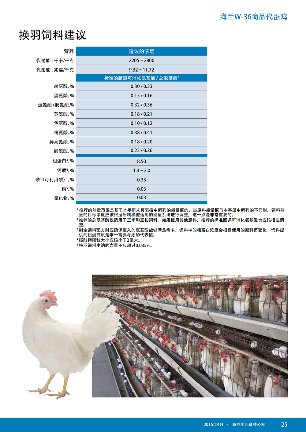 藏宝阁9100最新版