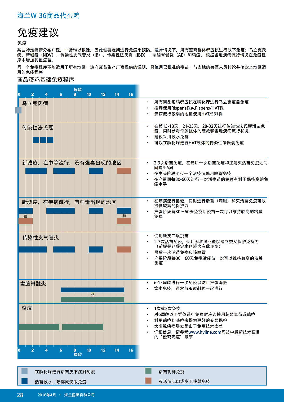 藏宝阁9100最新版