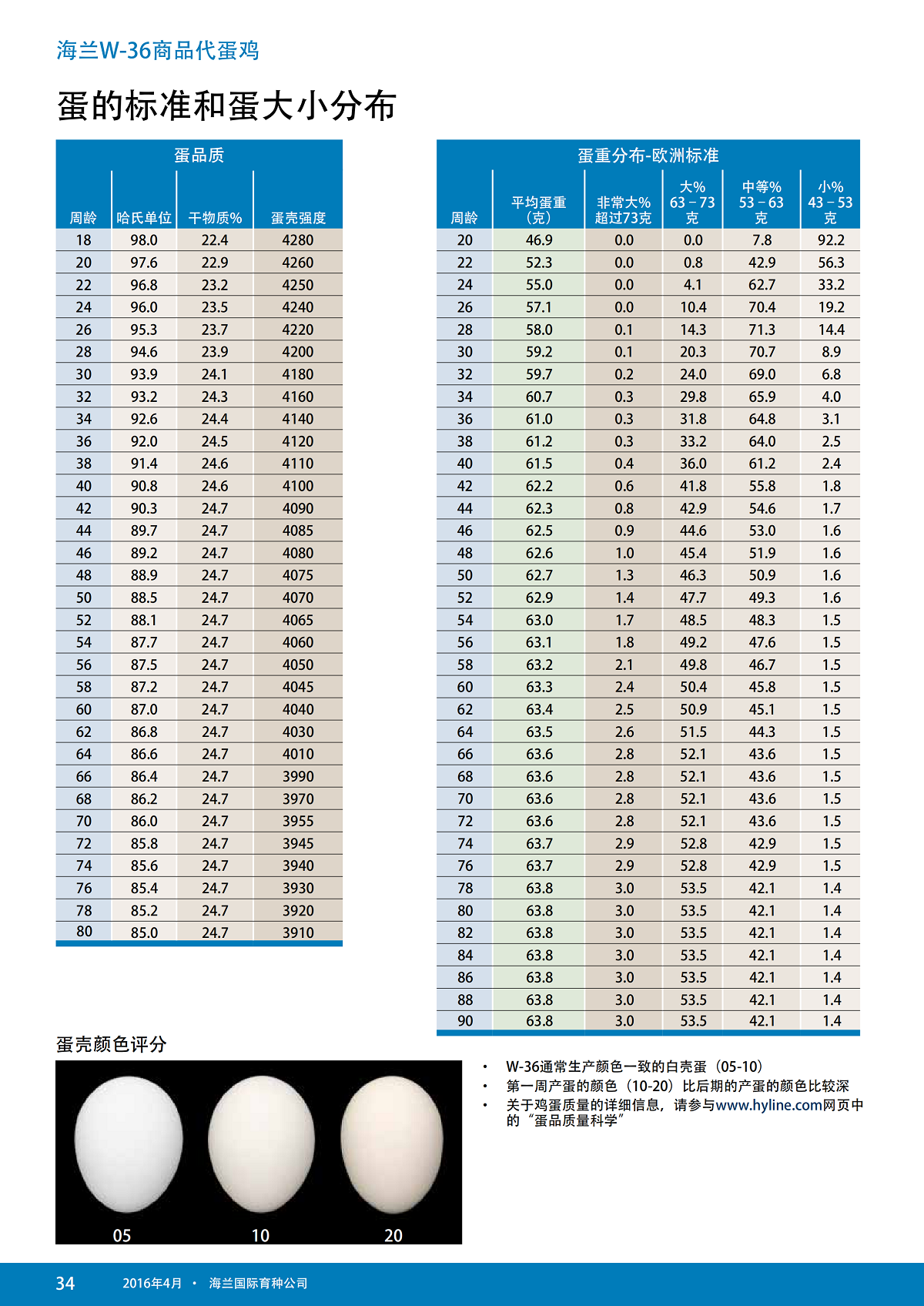 藏宝阁9100最新版