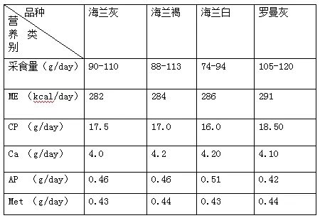 藏宝阁9100最新版