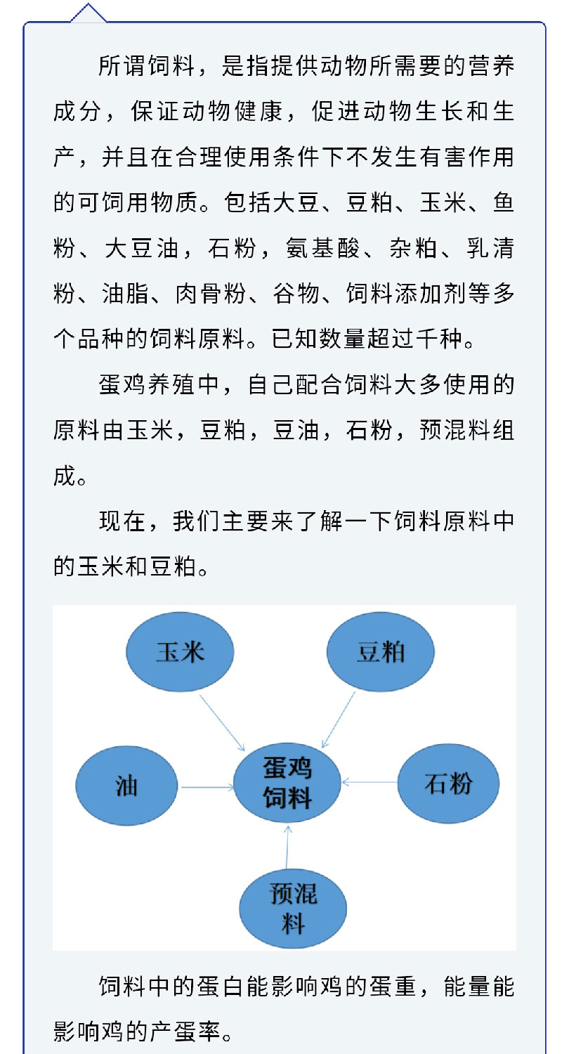 藏宝阁9100最新版