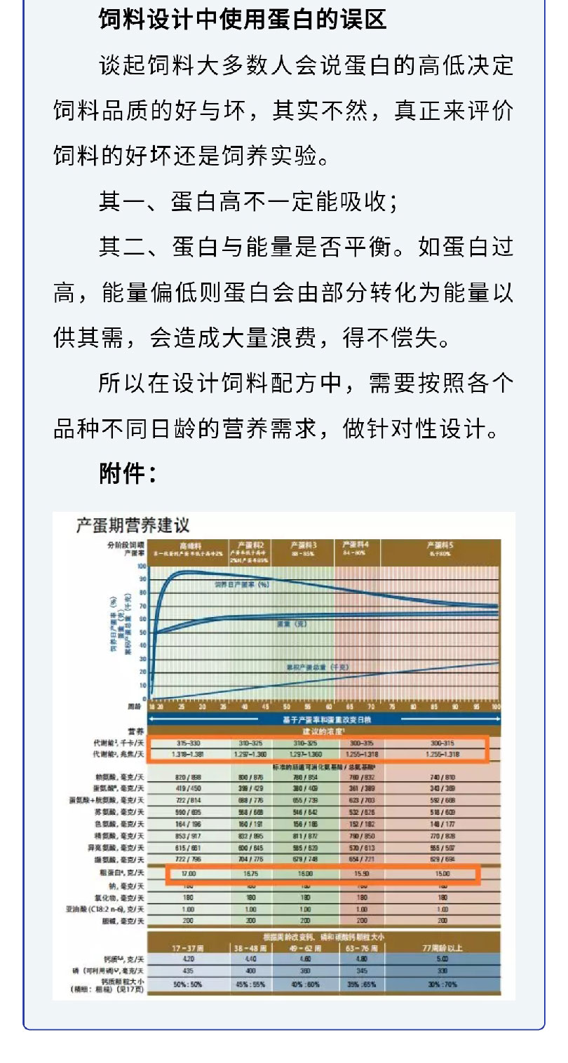 藏宝阁9100最新版