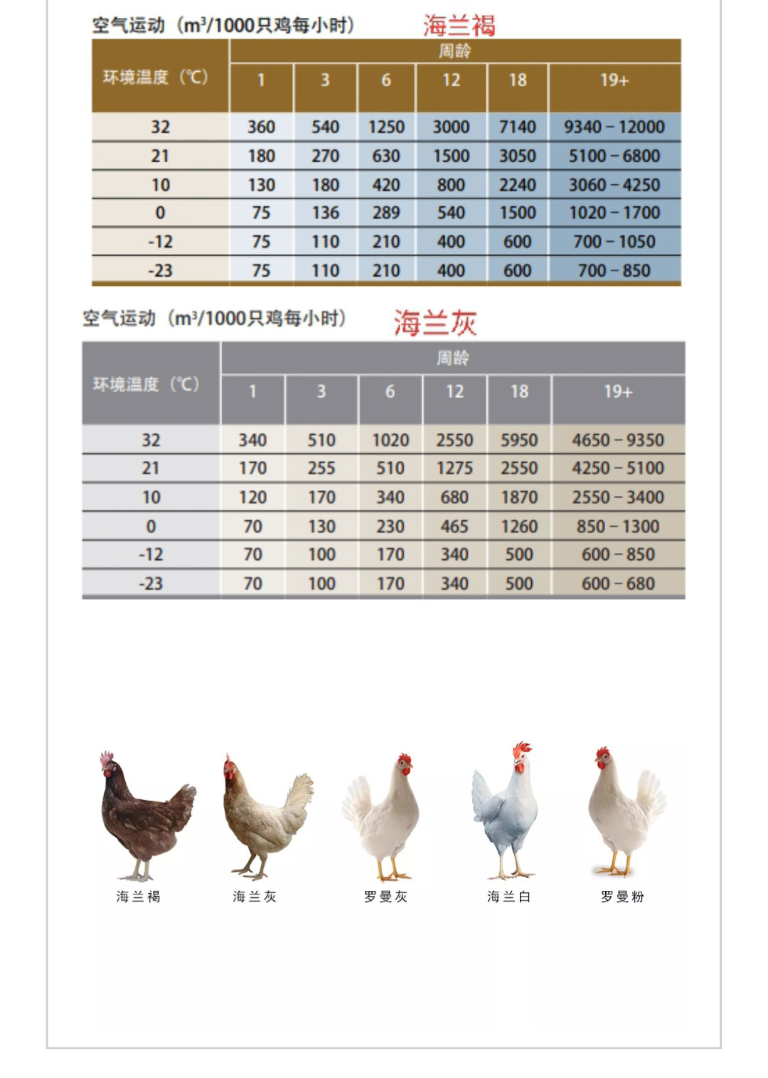 藏宝阁9100最新版