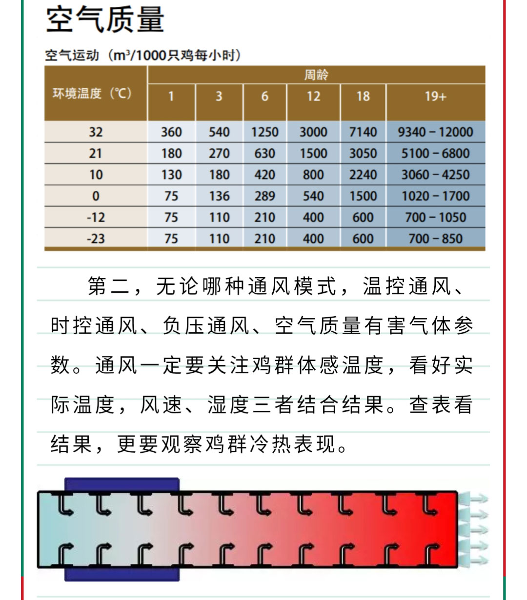 藏宝阁9100最新版