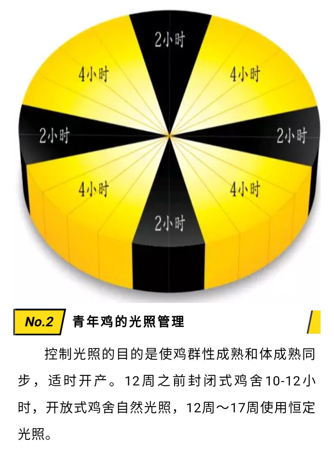 藏宝阁9100最新版