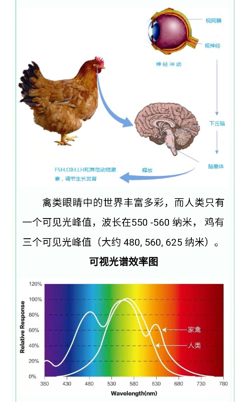 藏宝阁9100最新版