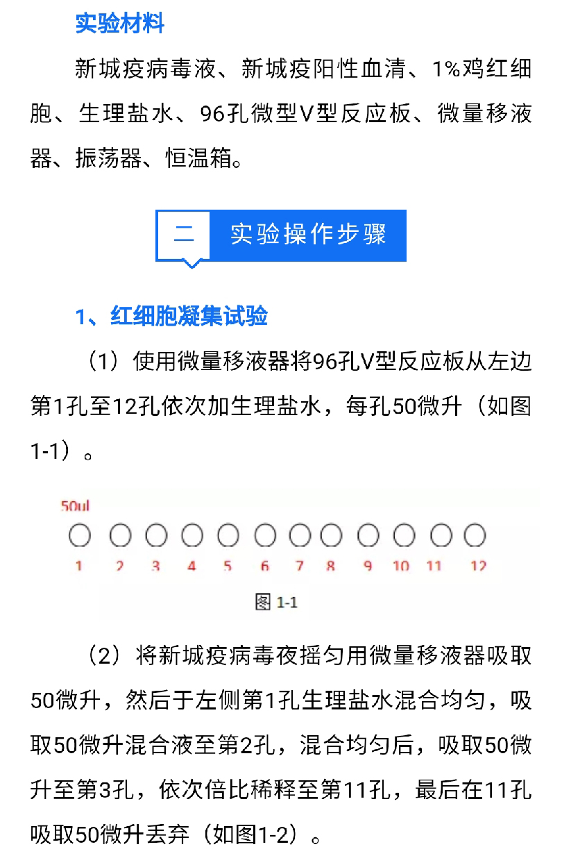 藏宝阁9100最新版