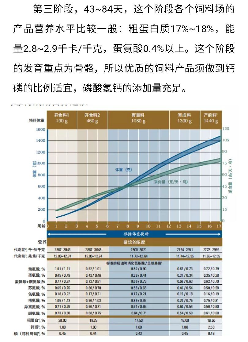 藏宝阁9100最新版