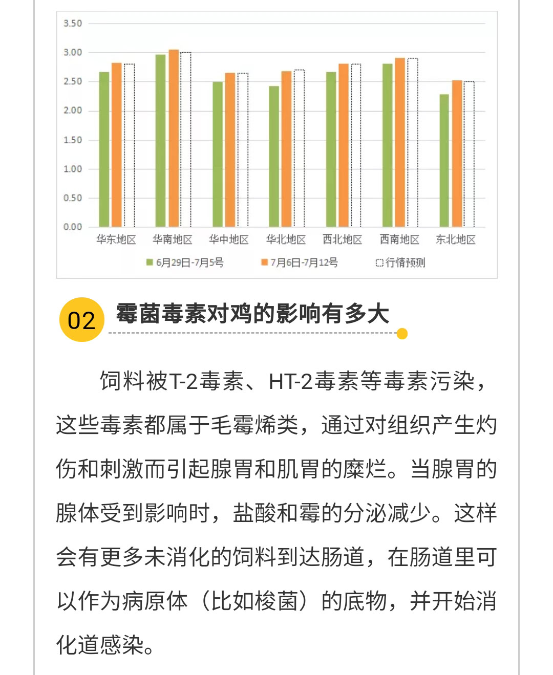 藏宝阁9100最新版