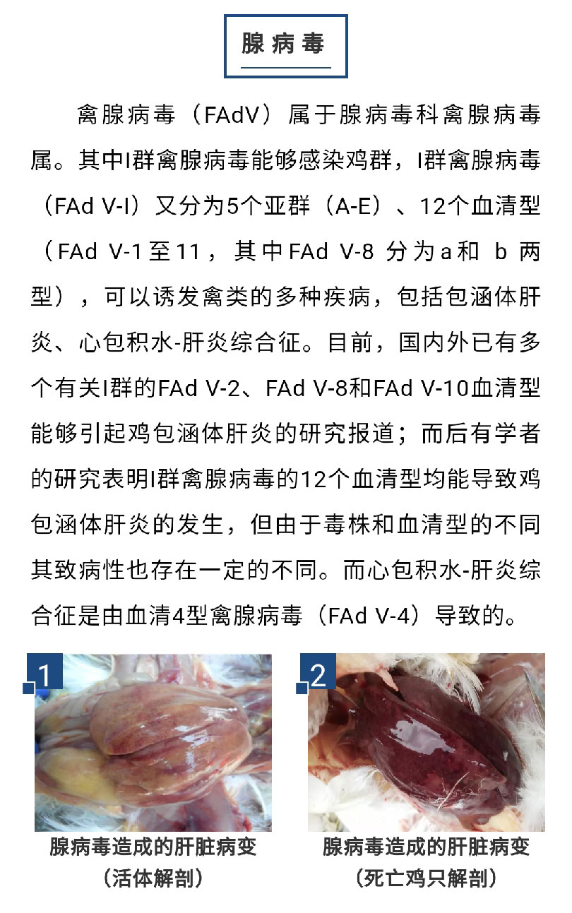 藏宝阁9100最新版