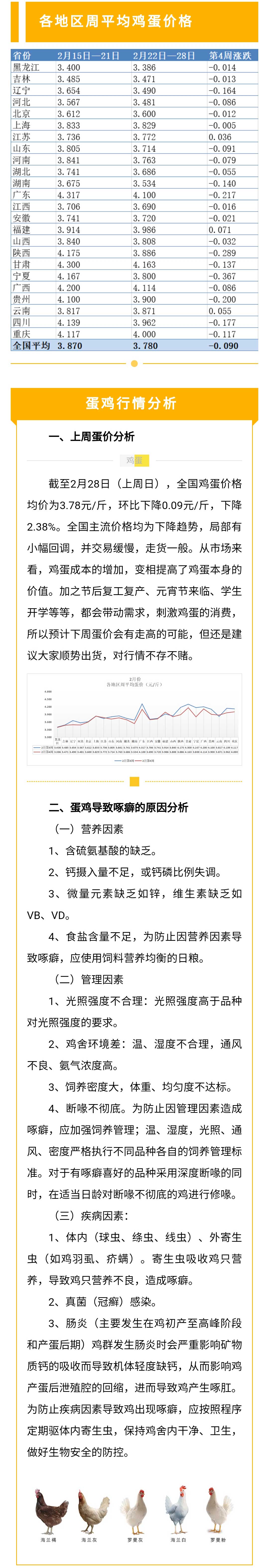 藏宝阁9100最新版